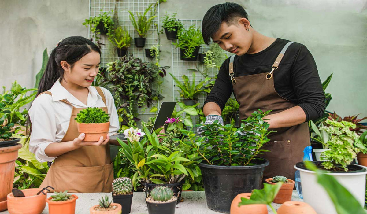 Shocking Garden Care Secrets That Will Make Your Plants Thrive Instantly!